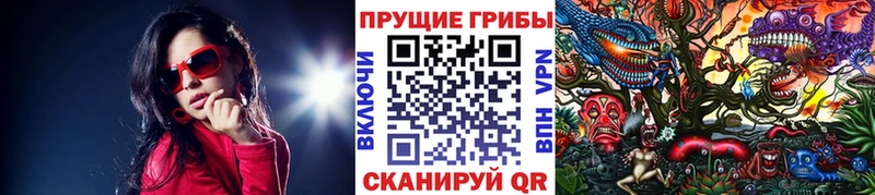 Купить закладки  Дубовка  Псилоцибиновые грибы Psilocybine cubensis 